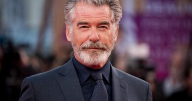 Pierce Brosnan Net Worth 2021 – Car, Salary, Business, Award, Bio