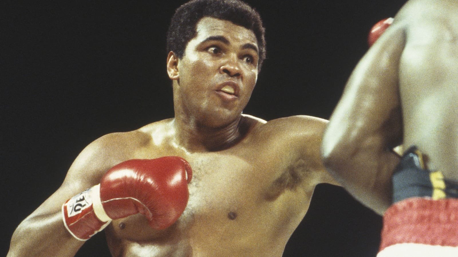 Muhammad Ali Net Worth – Biography, Career. Spouse And More