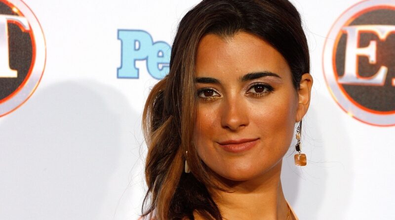 Cote De Pablo Net Worth 2021