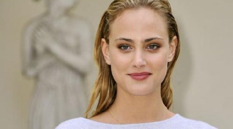 Nora Arnezeder Net Worth 2021