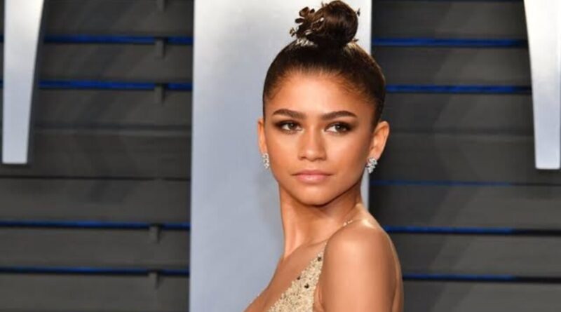 Zendaya Net Worth 2021 – Actress, Singer And Dancer