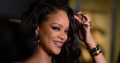 Rihanna Net Worth – Biography, Career, Spouse And More