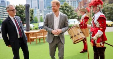 King has no time to see Prince Harry on UK visit due to 'full programme'